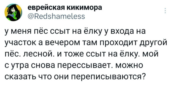 Мем: Собачья переписка., henh