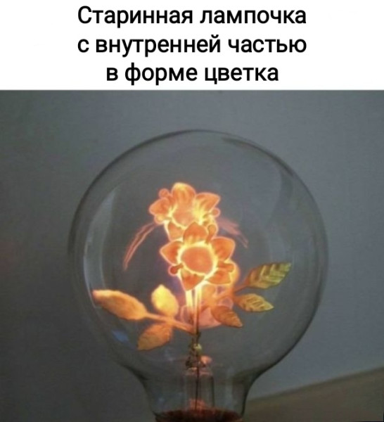 Мем, Рысь