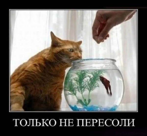 Мем, Смехалка