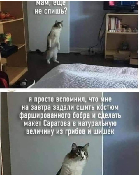 Мем, Анекдотчик