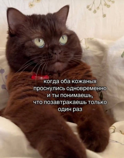 Мем, Анекдотчик