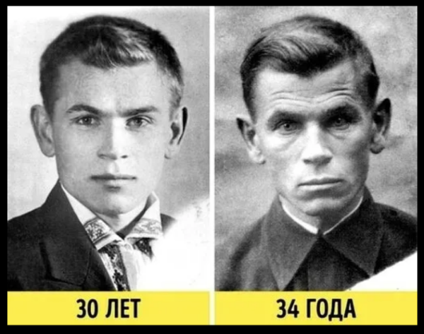 Мем, михельсон