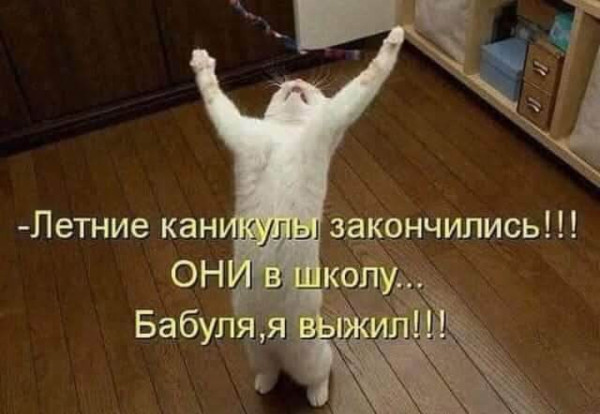 Мем, Анекдотчик