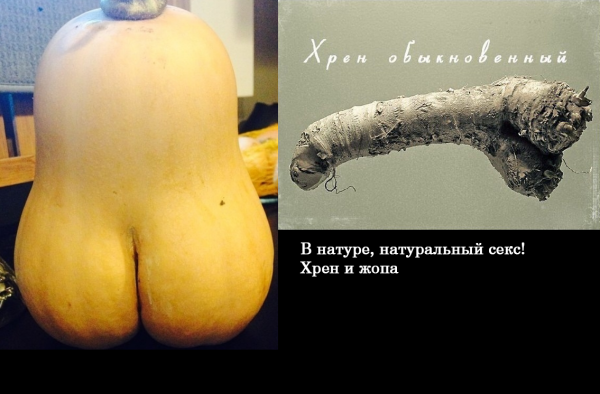 Мем: сами видите, Kelavrik_0
