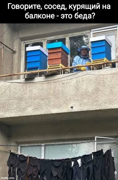 Мем, Рысь
