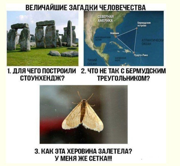 Мем, Ashmedai