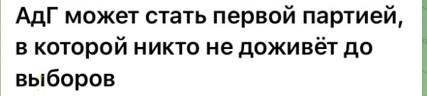 Мем, Максим Камерер