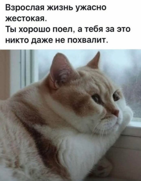 Мем, Анекдотчик