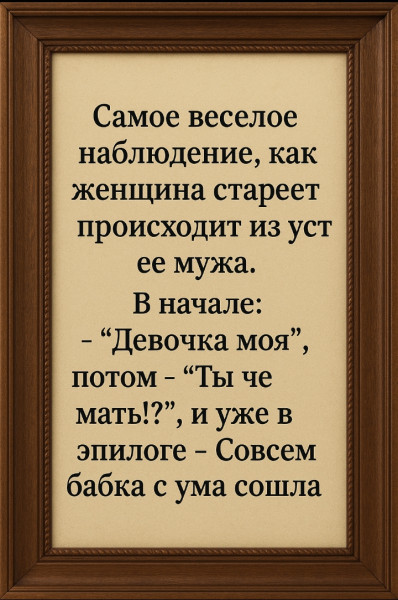 Мем, Анекдотчик