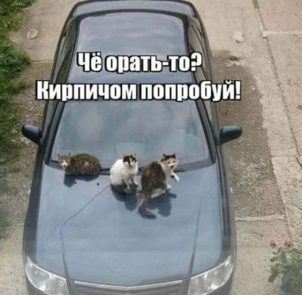 Мем, Баба Галя