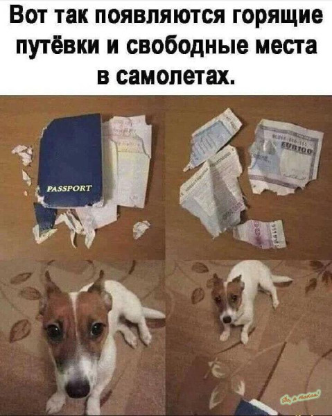 Мем, Смехалка