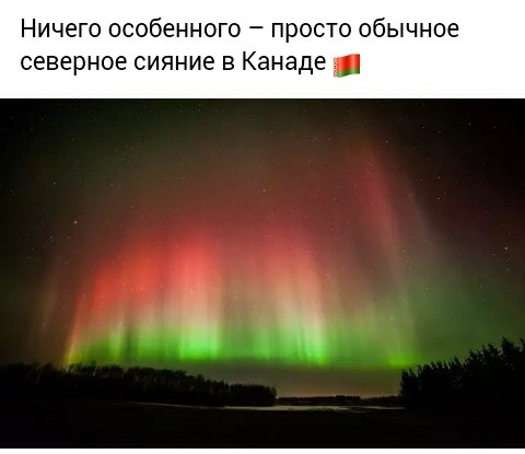 Мем, Кот Отморозкин