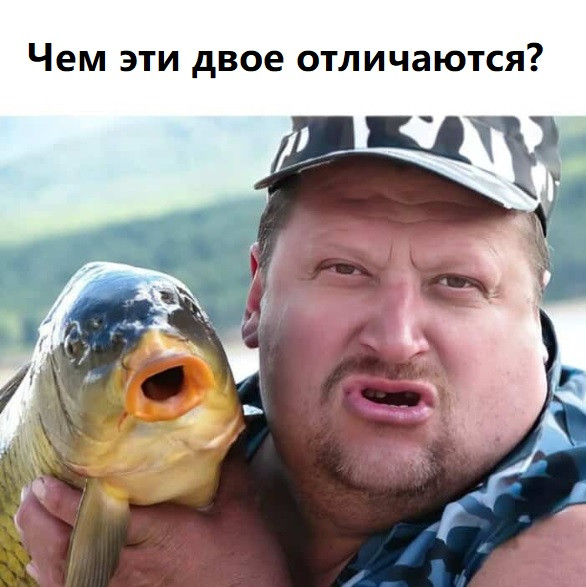 Мем, immar