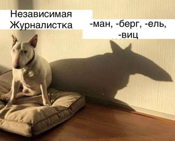 Мем: Шалом шаббат, Юрий Небольсин