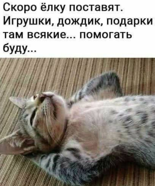 Мем, Анекдотчик