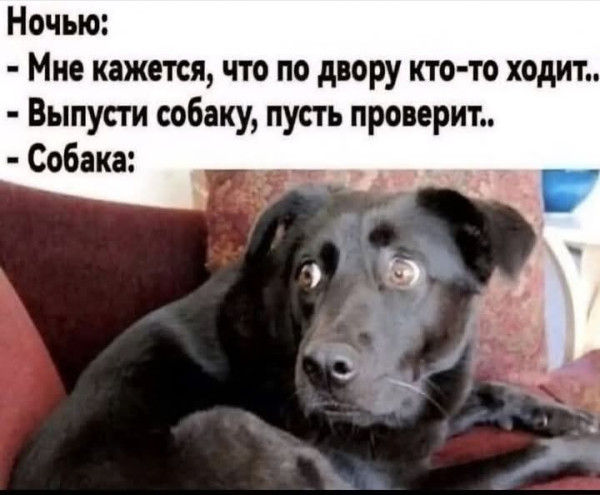 Мем, Анекдотчик