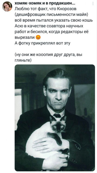 Мем, Смехалка