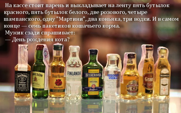 Мем: день рождения кота...