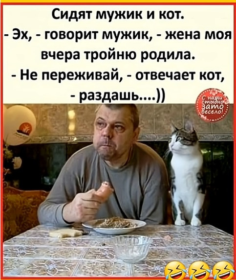 Мем, immar Мем, immar