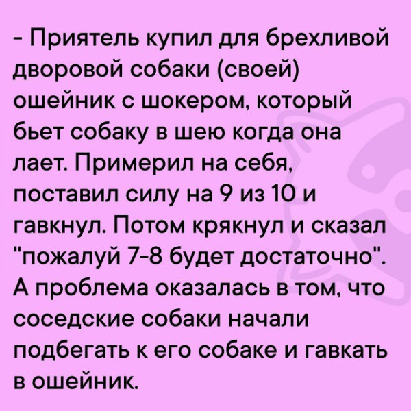 Мем, Максим Камерер