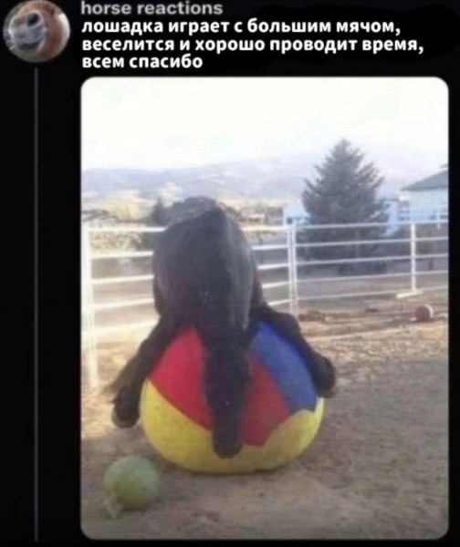 Мем, Смехалка