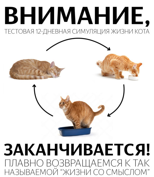 Мем, Максим Камерер