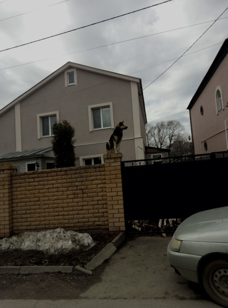 Мем, михельсон