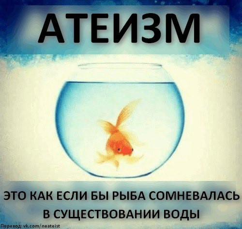 Мем, Кот Отморозкин