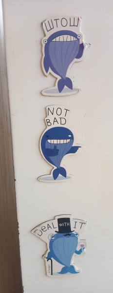 Мем: Эволюция товара, ashamalo