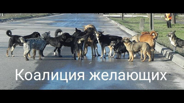 Мем: Коалиция желающих