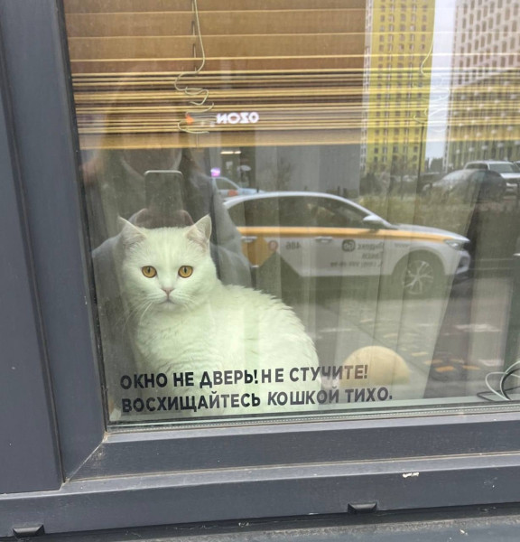 Мем, Смехалка