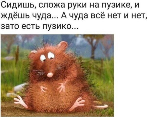 Мем: Жиза, Divine