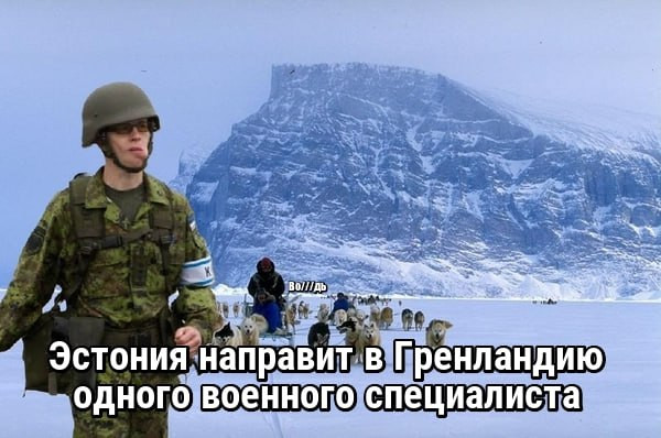 Мем: Вернулся с Красного моря таки, Юрий Небольсин