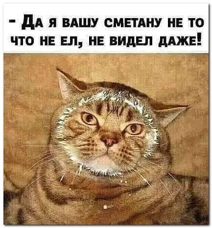 Мем: Веселое на день, Юмористка