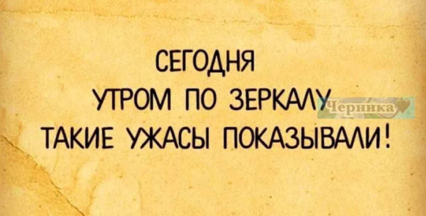 Мем, Максим Камерер