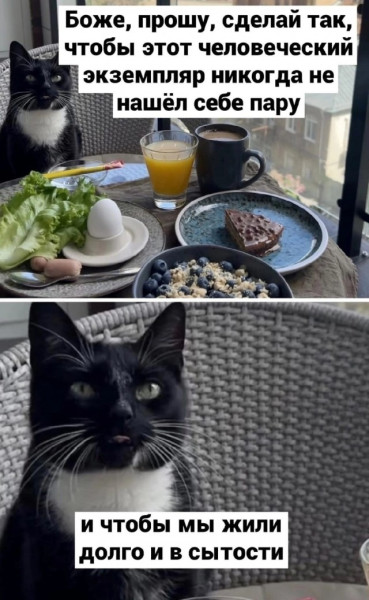 Мем, Смехалка Мем, Смехалка