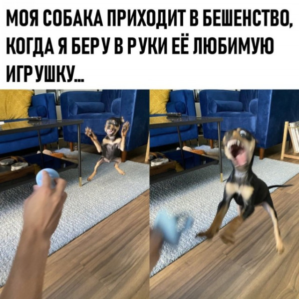 Мем, Смехалка Мем, Смехалка