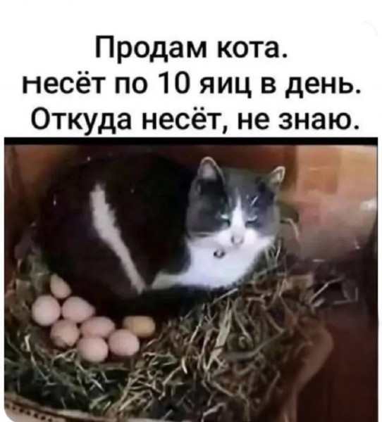 Мем, Смехалка Мем, Смехалка