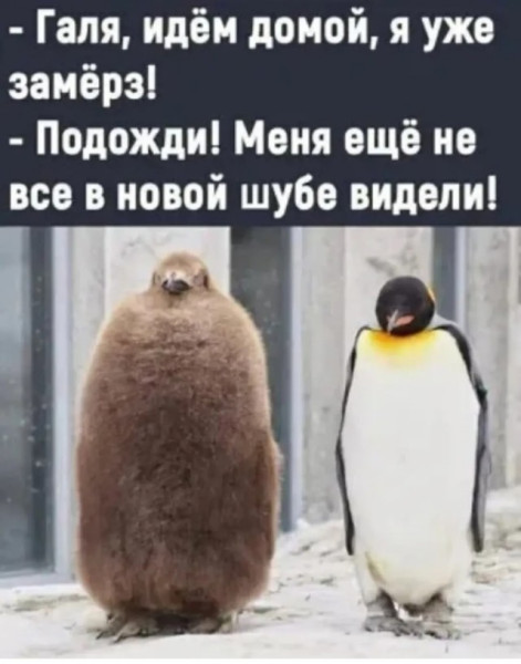 Мем, Смехалка Мем, Смехалка