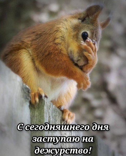 Мем, Смехалка Мем, Смехалка