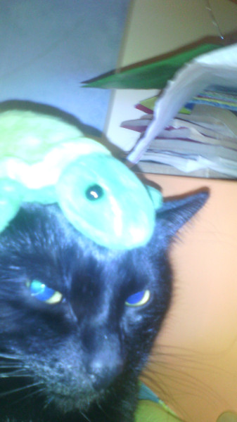 Мем, анегдотик Мем, анегдотик