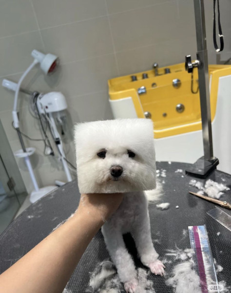 Мем, henh Мем, henh