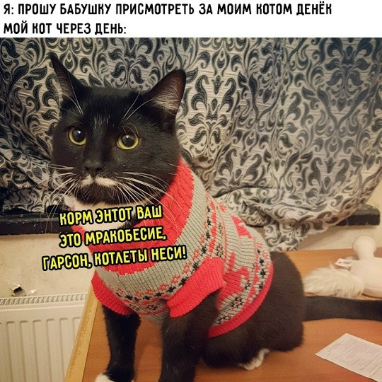 Мем, Смехалка