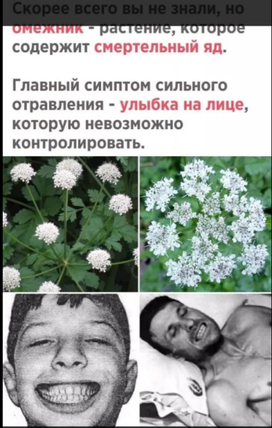 Мем, михельсон