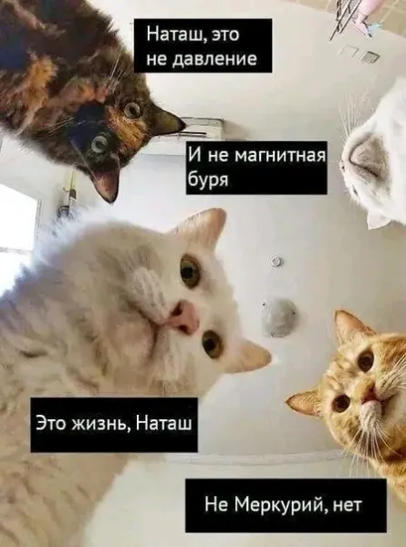 Мем, Смехалка