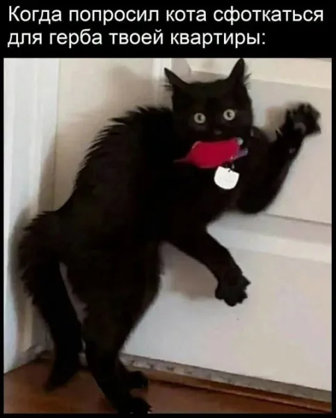 Мем, Смехалка