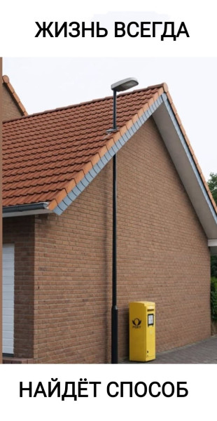 Мем, Рысь Мем, Рысь