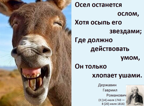 Мем, Александр САН Мем, Александр САН