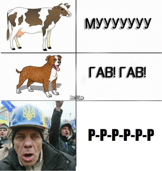 Мем, Максим Камерер