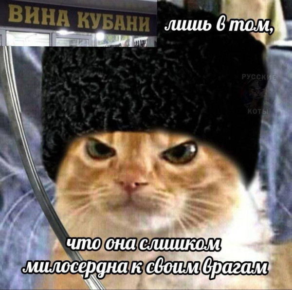 Мем, Максим Камерер